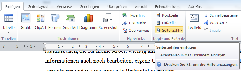 Einf&uuml;gen Seitenzahl